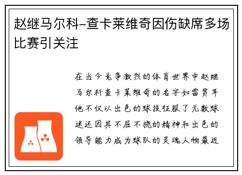 赵继马尔科-查卡莱维奇因伤缺席多场比赛引关注